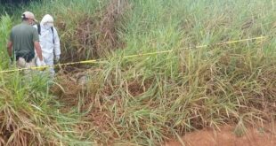 Corpo de homem com as mãos amarradas é encontrado em área rural na fronteira