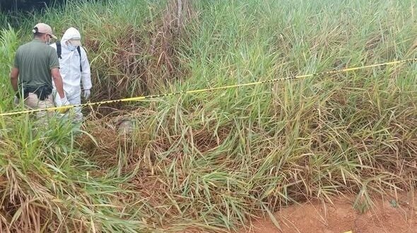 Corpo de homem com as mãos amarradas é encontrado em área rural na fronteira