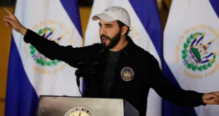 É extrema direita, estúpido: fortuna de aliados de Bukele cresce 700% enquanto pobreza extrema dispara em El Salvador