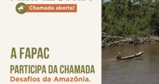 FAPAC integra chamada pública de R$ 107 milhões para fortalecer a sociobioeconomia da Amazônia