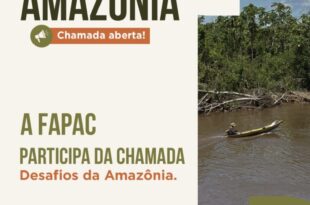 FAPAC integra chamada pública de R$ 107 milhões para fortalecer a sociobioeconomia da Amazônia