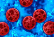 EUA enfrenta surto de ciclosporíase doença causada por protozoário 22 EUA enfrenta surto de ciclosporíase doença causada por protozoário