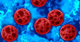EUA enfrenta surto de ciclosporíase doença causada por protozoário
