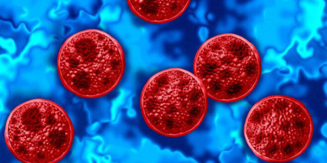 EUA enfrenta surto de ciclosporíase doença causada por protozoário