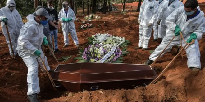 Coluna da Angélica: o maior crime do Jair