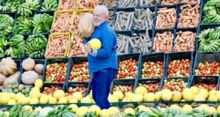 Brasil tem menor índice de fome da história, indica relatório da ONU