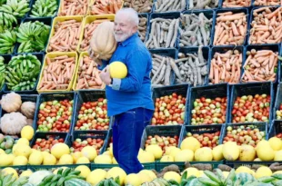 Brasil tem menor índice de fome da história, indica relatório da ONU