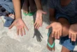 Acre não está entre eles: apenas três estados brasileiros têm plano vigente contra o trabalho infantil