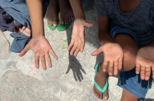 Acre não está entre eles: apenas três estados brasileiros têm plano vigente contra o trabalho infantil