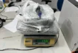 PF apreende 1,7 kg de skunk camuflado como rapadura em encomenda nos Correios