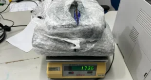 PF apreende 1,7 kg de skunk camuflado como rapadura em encomenda nos Correios
