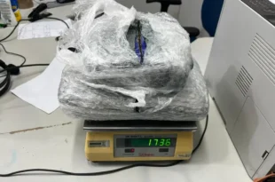 PF apreende 1,7 kg de skunk camuflado como rapadura em encomenda nos Correios