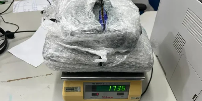 PF apreende 1,7 kg de skunk camuflado como rapadura em encomenda nos Correios