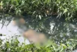 Corpo de homem é encontrado em esgoto