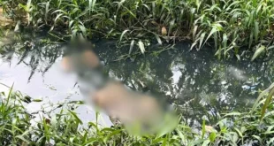 Corpo de homem é encontrado em esgoto