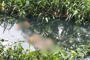 Corpo de homem é encontrado em esgoto