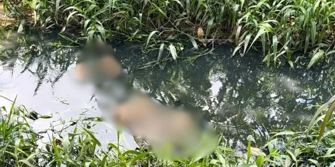 Corpo de homem é encontrado em esgoto