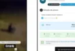 Denúncia aponta venda de imagens de tortura e mortes ligadas à PM do Paraná