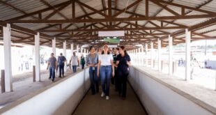 Governadora Mailza Assis vistoria preparativos para a 51ª Expoacre