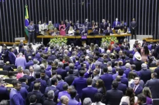 Veja quanto custa um deputado federal