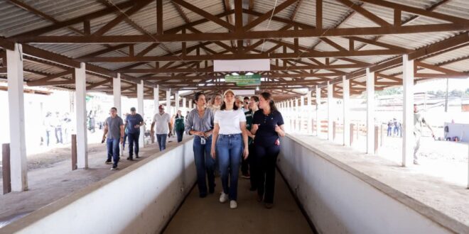 Governadora Mailza Assis vistoria preparativos para a 51ª Expoacre