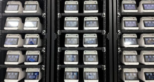 Startup usa células cerebrais humanas em centros de dados