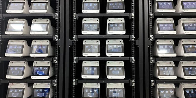 Startup usa células cerebrais humanas em centros de dados