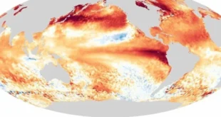 Aquecimento global pode liberar vírus e bactérias para os quais não existe tratamento