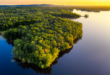 Colapso climático: super El Niño de 2026 pode afetar sumidouros de carbono da Amazônia