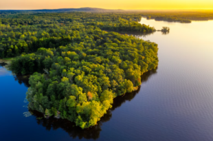 Colapso climático: super El Niño de 2026 pode afetar sumidouros de carbono da Amazônia
