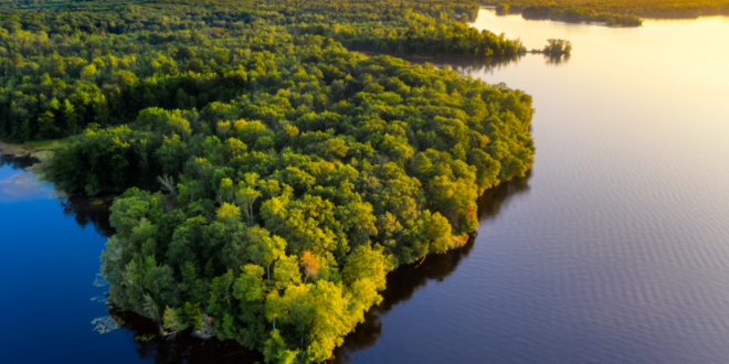 Colapso climático: super El Niño de 2026 pode afetar sumidouros de carbono da Amazônia