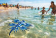 Criatura está chegando às águas rasas por causa do calor dos oceanos e pode representar risco aos banhistas