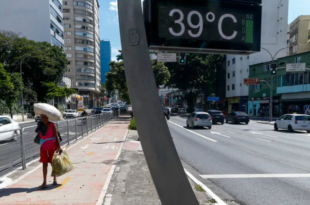 Aquecimento global: proibição do asfalto em tempos de emergência climática