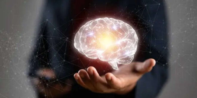 Humanos podem ter capacidade de regeneração adormecida
