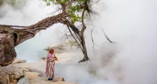 Curiosidades da Amazônia: rio fervente atinge mais de 90ºC e cozinha animais vivos