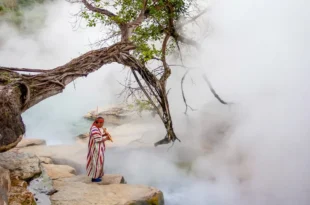Curiosidades da Amazônia: rio fervente atinge mais de 90ºC e cozinha animais vivos