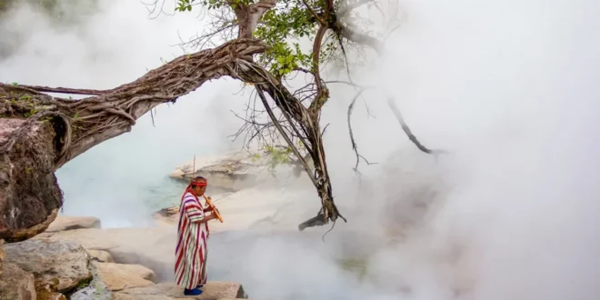 Curiosidades da Amazônia: rio fervente atinge mais de 90ºC e cozinha animais vivos