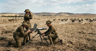 1x0 para as emas: Austrália levou exército com metralhadoras para enfrentar emas e não conseguiu controlar as aves