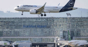 Mosquitos no avião: funcionários de aeroporto na Alemanha morrem de malária
