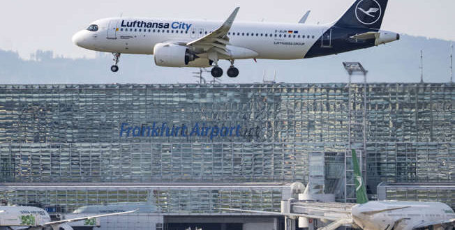 Mosquitos no avião: funcionários de aeroporto na Alemanha morrem de malária