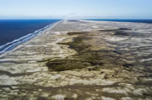 Ruralistas pretendem extinguir 1,7 milhão de hectares de unidades de conservação
