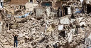 Quando a Terra perde a paciência: crise climática e extinções globais