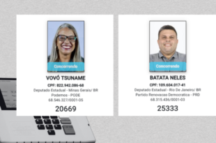 Para todos os gostos e risos: veja nomes curiosos de candidatos