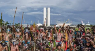 Eleições de 2026 registram recorde de candidaturas indígenas