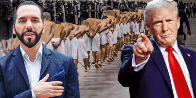 O conto Bukele: grade alta, inteligência baixa