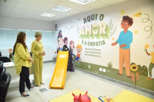 Da cesta básica a punição e prevenção: o impacto da Lei Maria da Penha no combate à violência doméstica