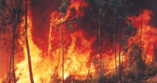 O planeta em febre: emergência climática, El Niño e a urgência de um novo Estado para o século XXI