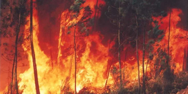 O planeta em febre: emergência climática, El Niño e a urgência de um novo Estado para o século XXI
