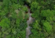 Devastação na Amazônia ameaça segurança hídrica do Sul e Sudeste