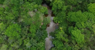 Devastação na Amazônia ameaça segurança hídrica do Sul e Sudeste